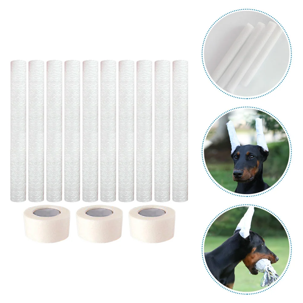 

10 Pcs Doberman Dog Ear Posting Kit Pinscher Erecting Stick Stickers Correction