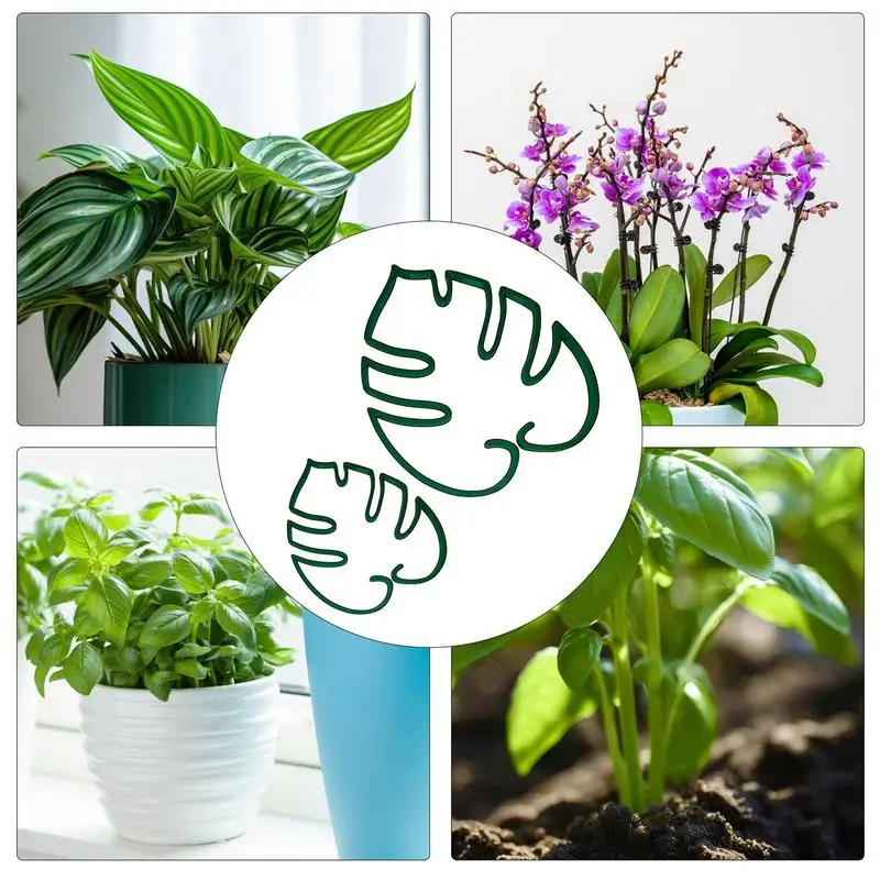 Corrosion Resistant Flower Support Gardening Accessories Turtle Shell Plant Stand Monstera Shaped Plant Support For Gardens