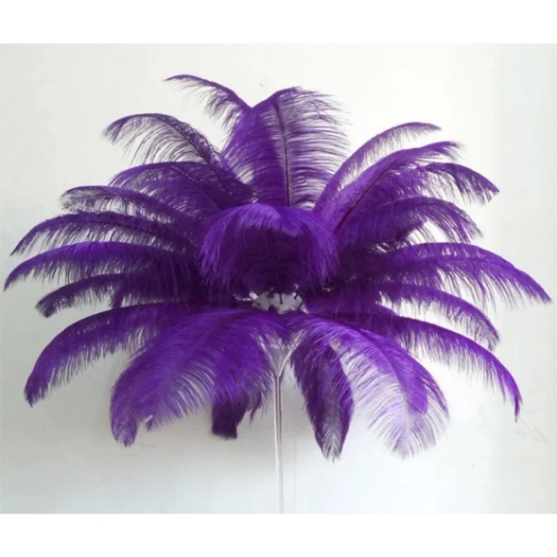 

Ostrich feathers Wholesale discount purple ostrich feathers 12-14 inch 100PCS / pieces wedding party dress headdress decoration