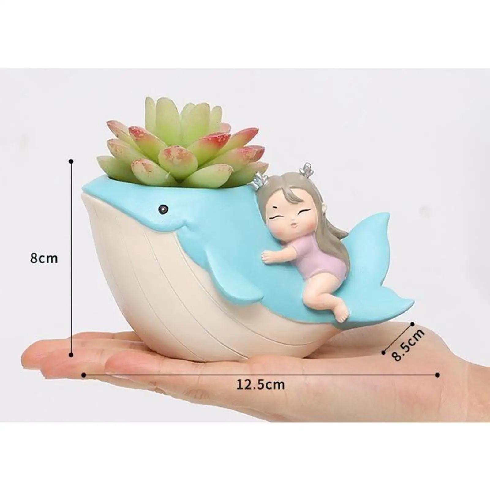 Mini Succulent Bonsai Pot Desktop Fleshy Plant Pot indoor e outdoor Decor