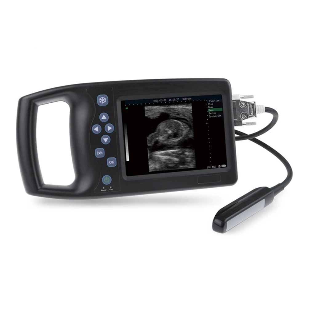 

5.7-inch LED display Animal Handheld Veterinary Ultrasound Machine With 256 frame movie playback function and automatic backfat