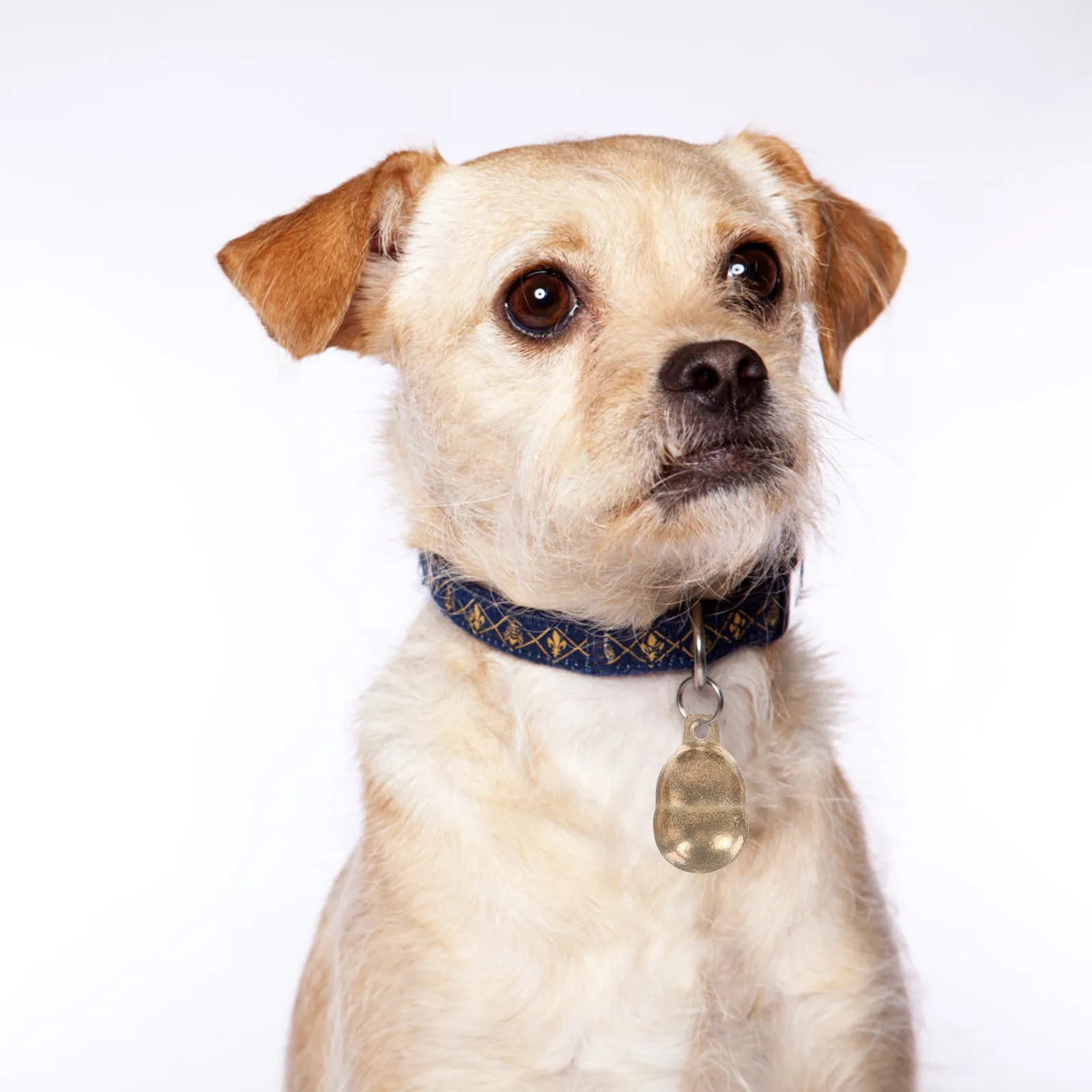 

5pcs Bell Small Bells Dog Collars Jingle Pet Collar Bells Bell Accessories Craft Decorations Clear Sound Long Use