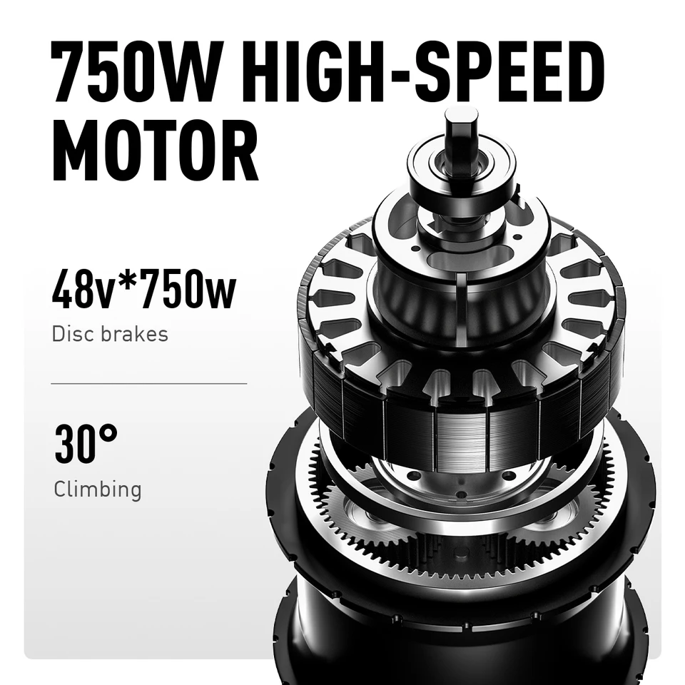 Electric Tricycle 750W Motor 48V 20AH Remover Lithium Battery Foldable 3 Wheel Electric Bike 16 Inch Fat Tire 100km Ebike image 4