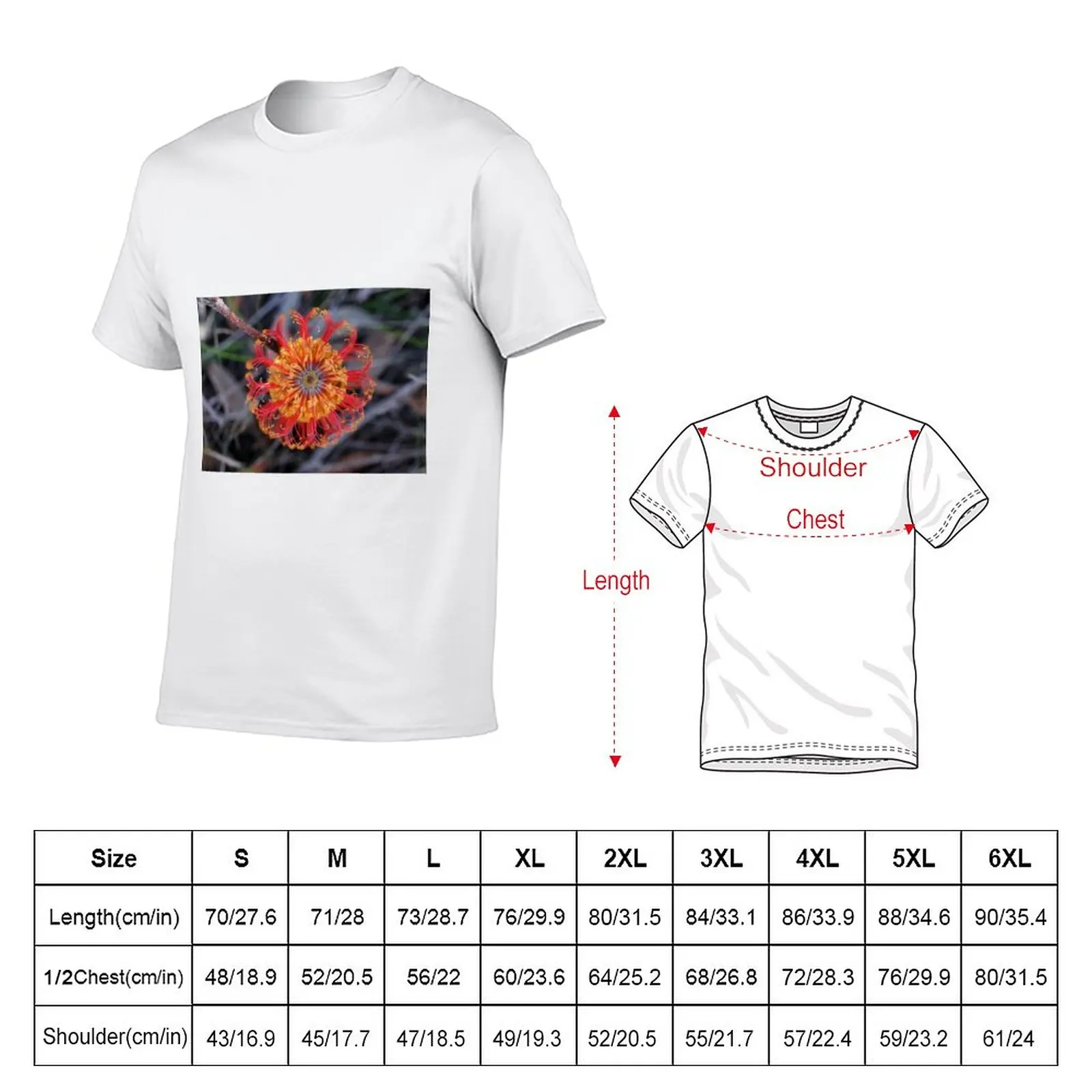 New Banksia ericifolia - Heath-leaved Banksia T-Shirt graphic t shirts quick drying t-shirt customized t shirts Men's clothing