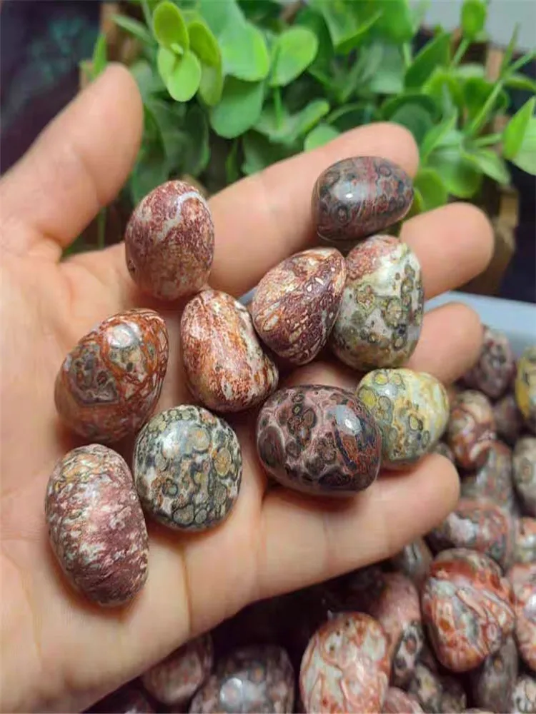 Natural crystal leopard-print stone particle raw stone mineral specimen