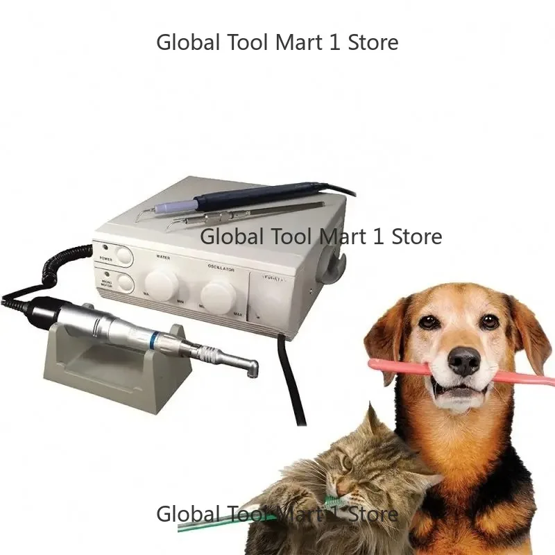 

AR-T S-P1 Magnetorestrictive Ultrasonic Scaler / De-tal air Polisher for Vet