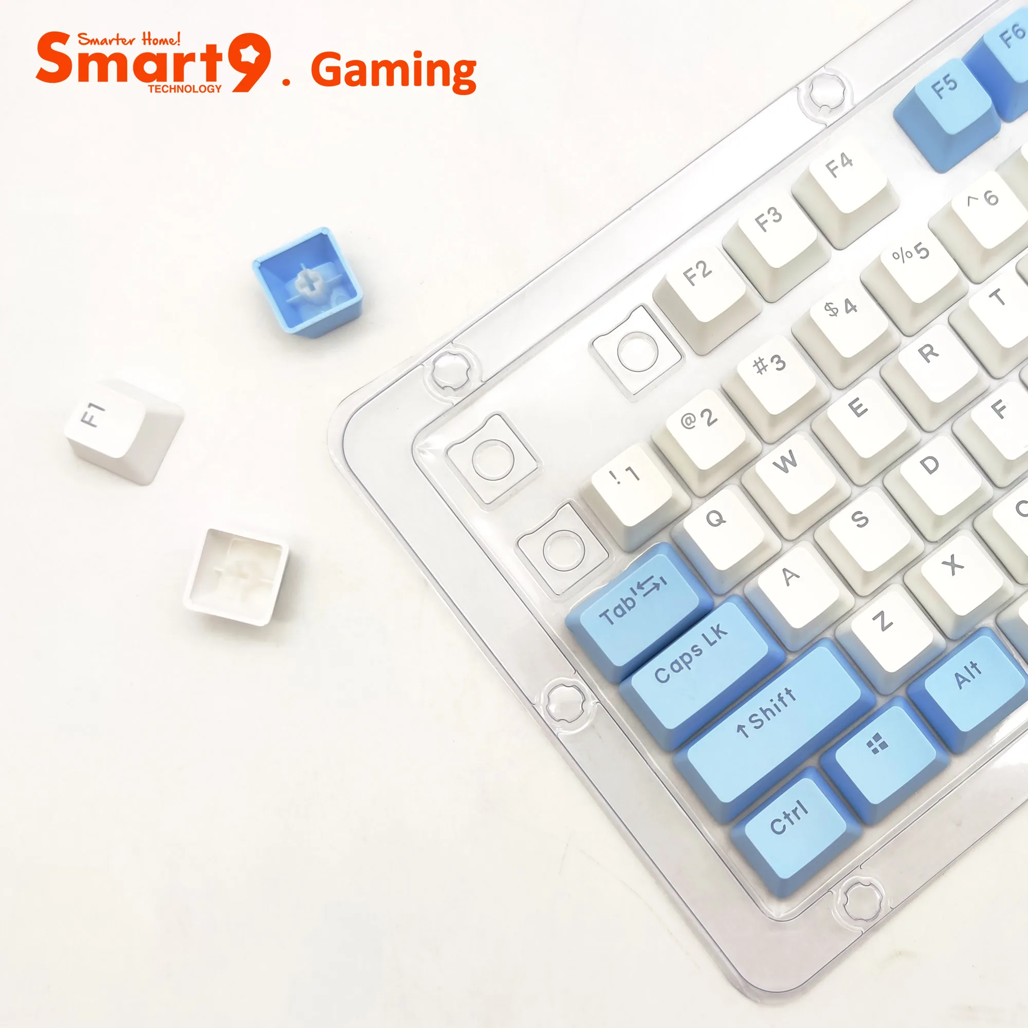 Smart9 PBT Double Shot Keycaps Top Letters Closed Type and Side Letters in Colorway Top Quality for Mechanical Keyboards