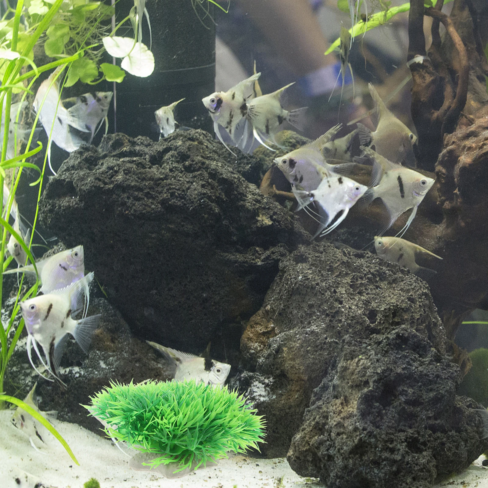 

6Pcs Realistic Aquarium Plants Artificial Fish Tank Simulation Plastic Aquatic Plants for Betta Fish Goldfish Tank Decor