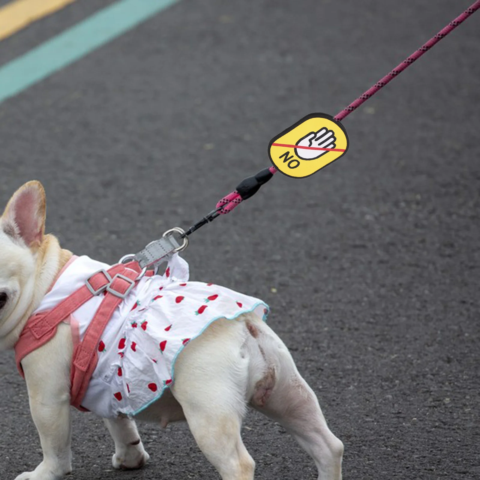 

Tape Warning Label For Dog Leash Sticker Do Not Pet Sign Puppy Socializing Decal Durable Safety Tag Pet Walking