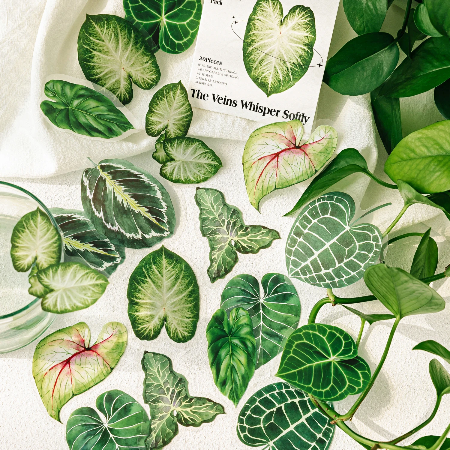 20 pcs Large size Plant leaves Theme Flower plants sticker Pack diy Scrapbook material stickers creative Stationery supplies