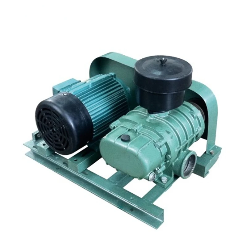 2.2KW Electric Good Quality Roots Rotary Lobe Blower For Fish Pond