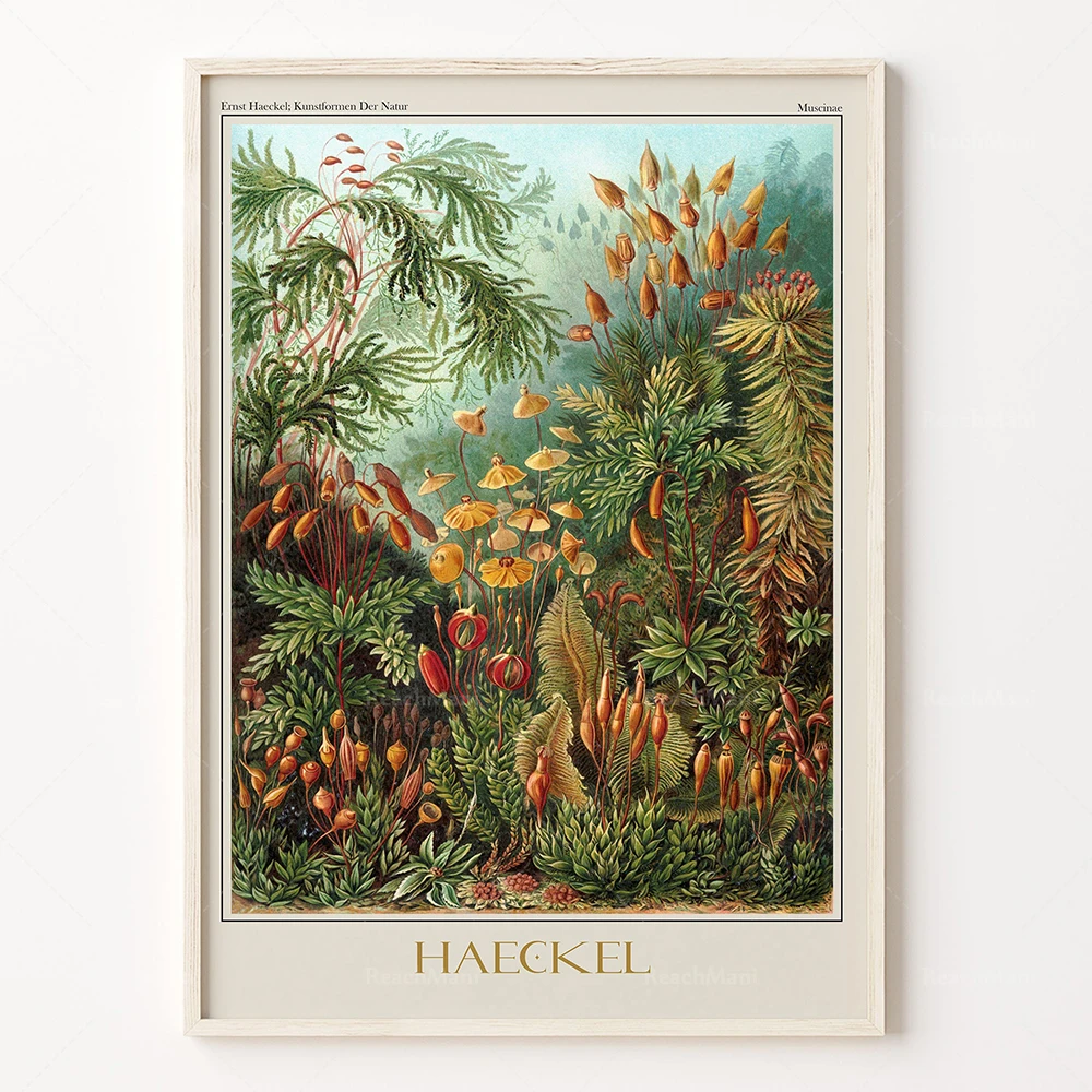 Ernst Haeckel Biology Posters Palm Tree Prints Vintage Hummingbird Botanical Tropical Wall Art Canvas Painting Pictures Decor