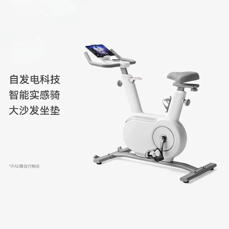 Mini smart home spinning bike, indoor magnetic control silent sports exercise bike