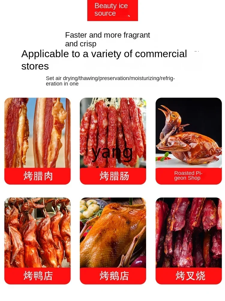 X Dryer Defrosting Roast Duck Air-Drying Fresh-Keeping Dehumidification Embryo Drying Cabinet view 3