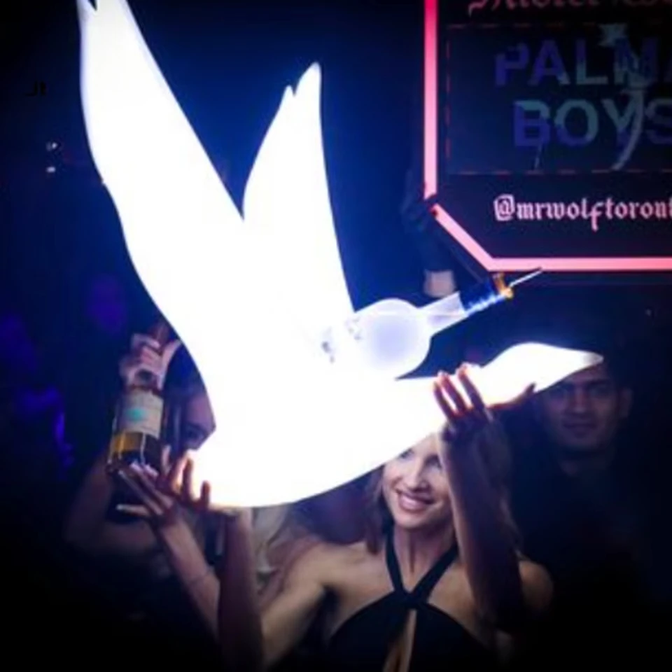 Logo Acrylic Bird Goose Shape Bottle Presenter White Grey LED Glorifier for Advertising in Party Nightclubs