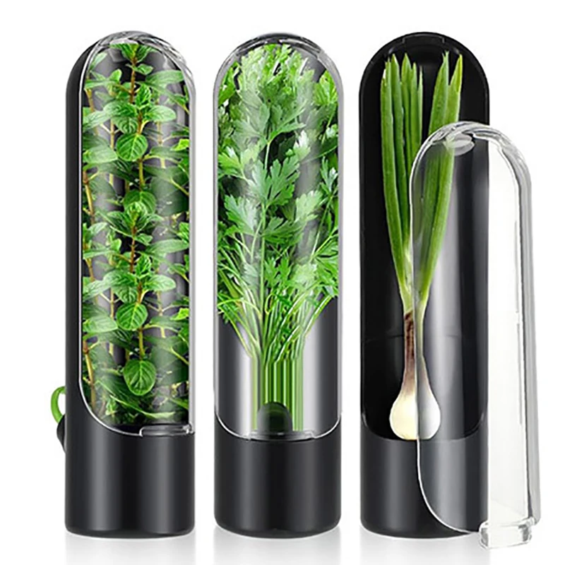 1PCS Herb Keeper Herb Storage Container Plastic Savor Preserver For Cilantro Mint Parsley Asparagus Chives Posemary