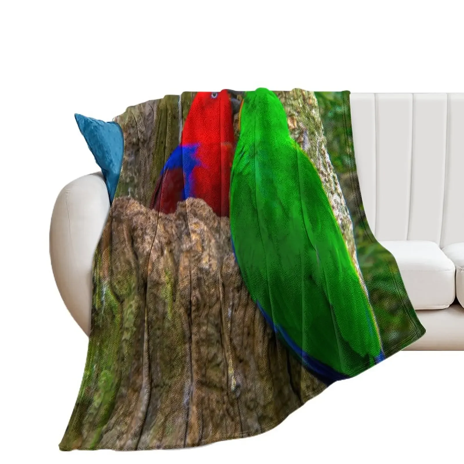 Eclectus Parrots Throw Blanket Warm Summer Comforter Blankets