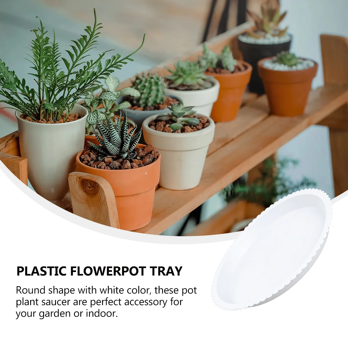 

5Pcs Plastic Flower Pot Trays Round Saucers 26x26cm White Durable Indoor Outdoor Bonsai Tree Holder Bonsai Tree Holder