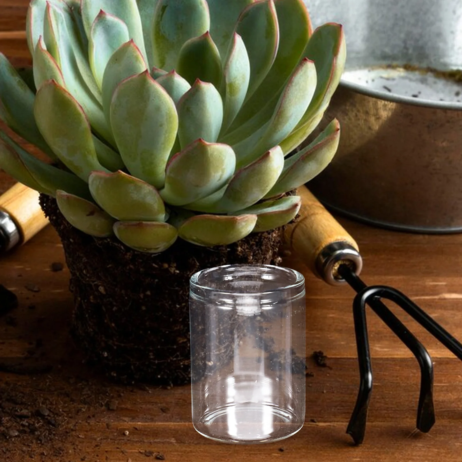 

10Pcs Mini Test Tube Vases Succulent Glass Plants Micro Landscape Bottles Hydroponic Small Containers Home Office