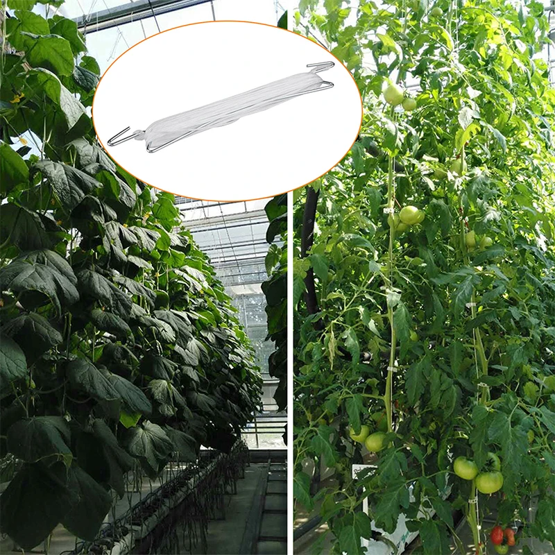 イヤーフッククリップ植物トレリス、庭の野菜パッチ、果物のフック、クランプ、園芸用品、1個