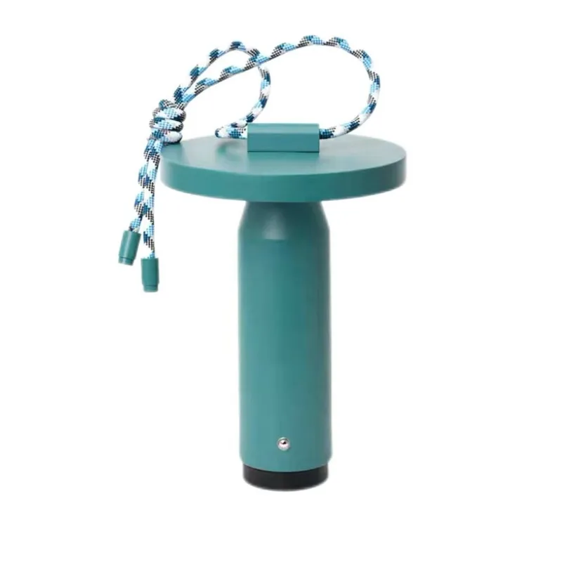 

Portable hand carry charging desk lamp night light outdoor camping light