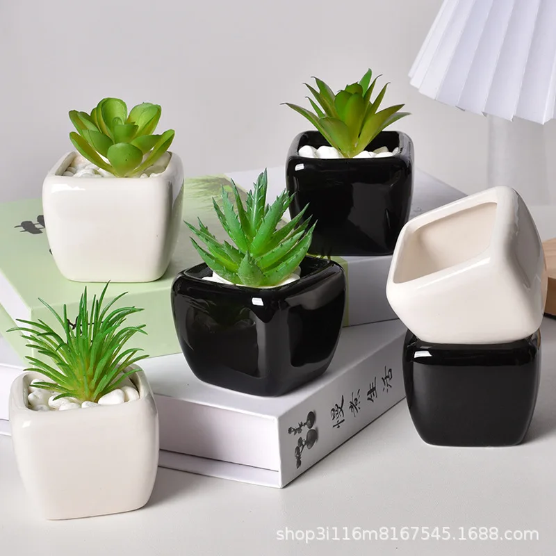 Yjq 6pcs simple succulent ceramic pot mini square potted plant home ornament flower pot
