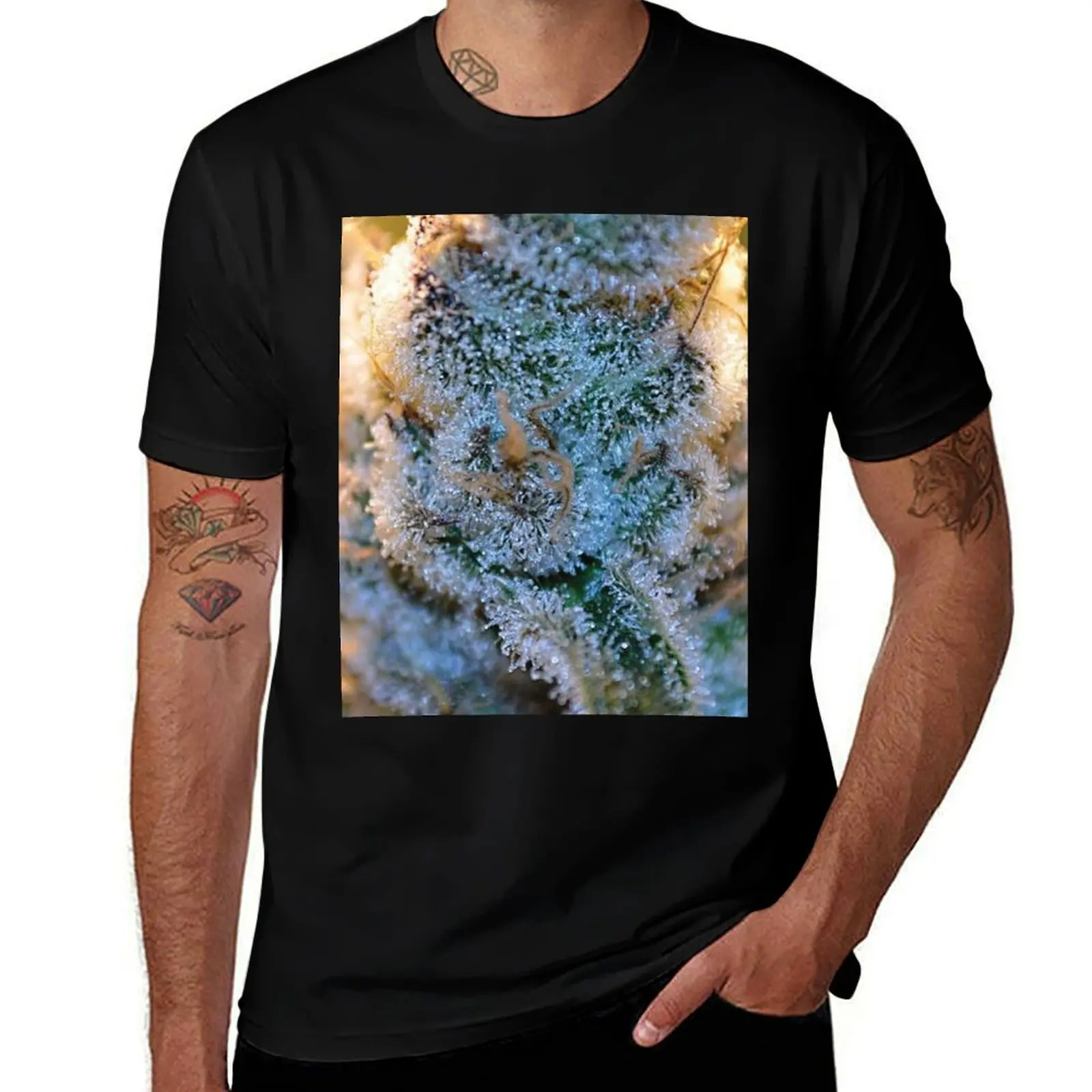 

man 6 graphic shirts T-Shirt men t shirts graphic for man shirt t man Trichome t