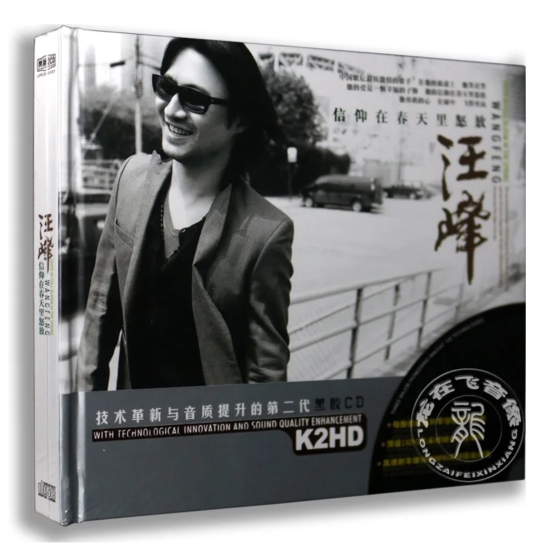 

China 12cm HD-MASTERING Vinyl Records LPCD K2HD Disc Set Chinese Pop Music Male Singer Wang Feng Songs Collection 2 CD