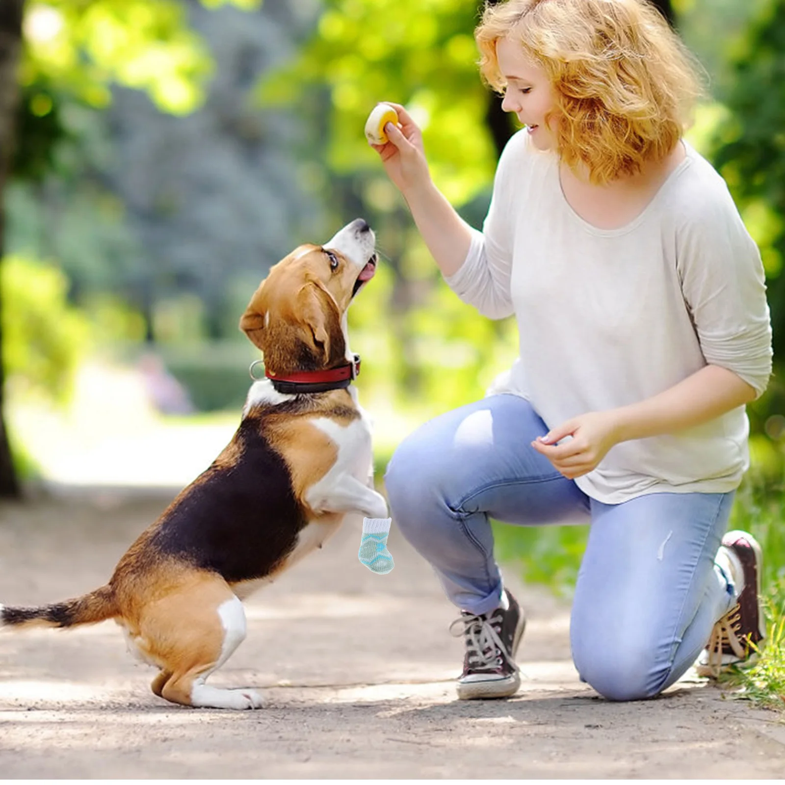 4Pairs Adorable Dog Socks Anti Slip Pet Socks Winter Warm Cotton Compact Easy to Put on Take Off Travel Friendly