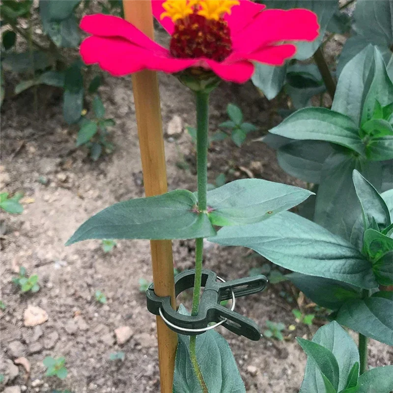 AA19 200 Stück feste Pflanzenklammern, wiederverwendbare Gewächshaushalterung, Befestigung von grünen Stielen, Blumenreben, Gemüse, Tomatenverschluss, Gartenunterstützung