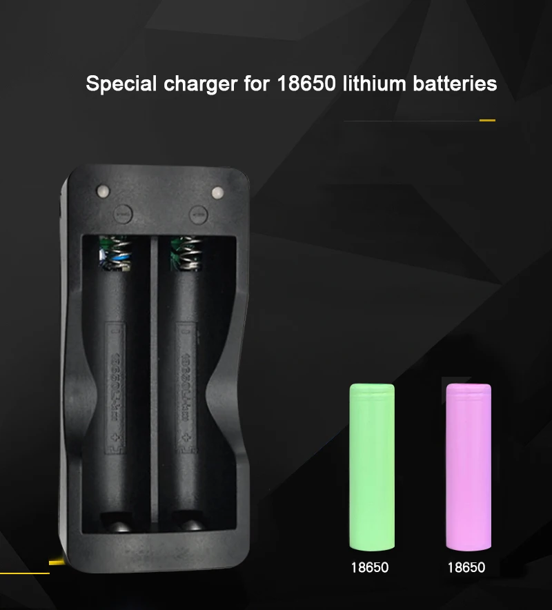 PUJIMAX 2 Slots 18650 Battery Charger 18650 EU Smart Li-ion   Rechargeable Battery Charging  Safety Rechargeable Battery charger