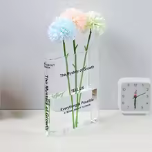 Vase acrylique Transparent Vase Transparent en forme de livre adapté à la décoration de maisons, chambres et bureaux uniques