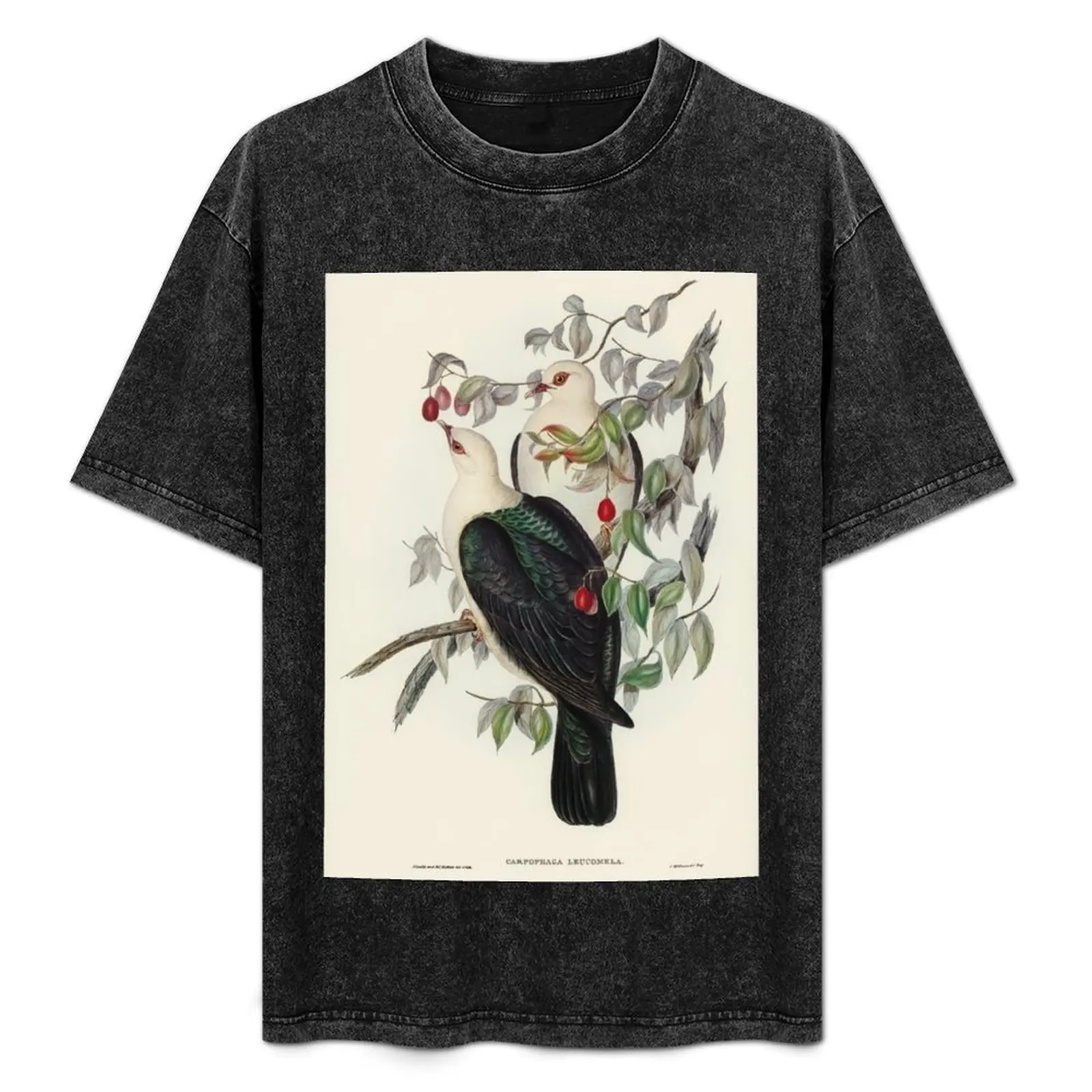 

Australien Birds T-Shirt Casual Breathable Short Sleeve Top