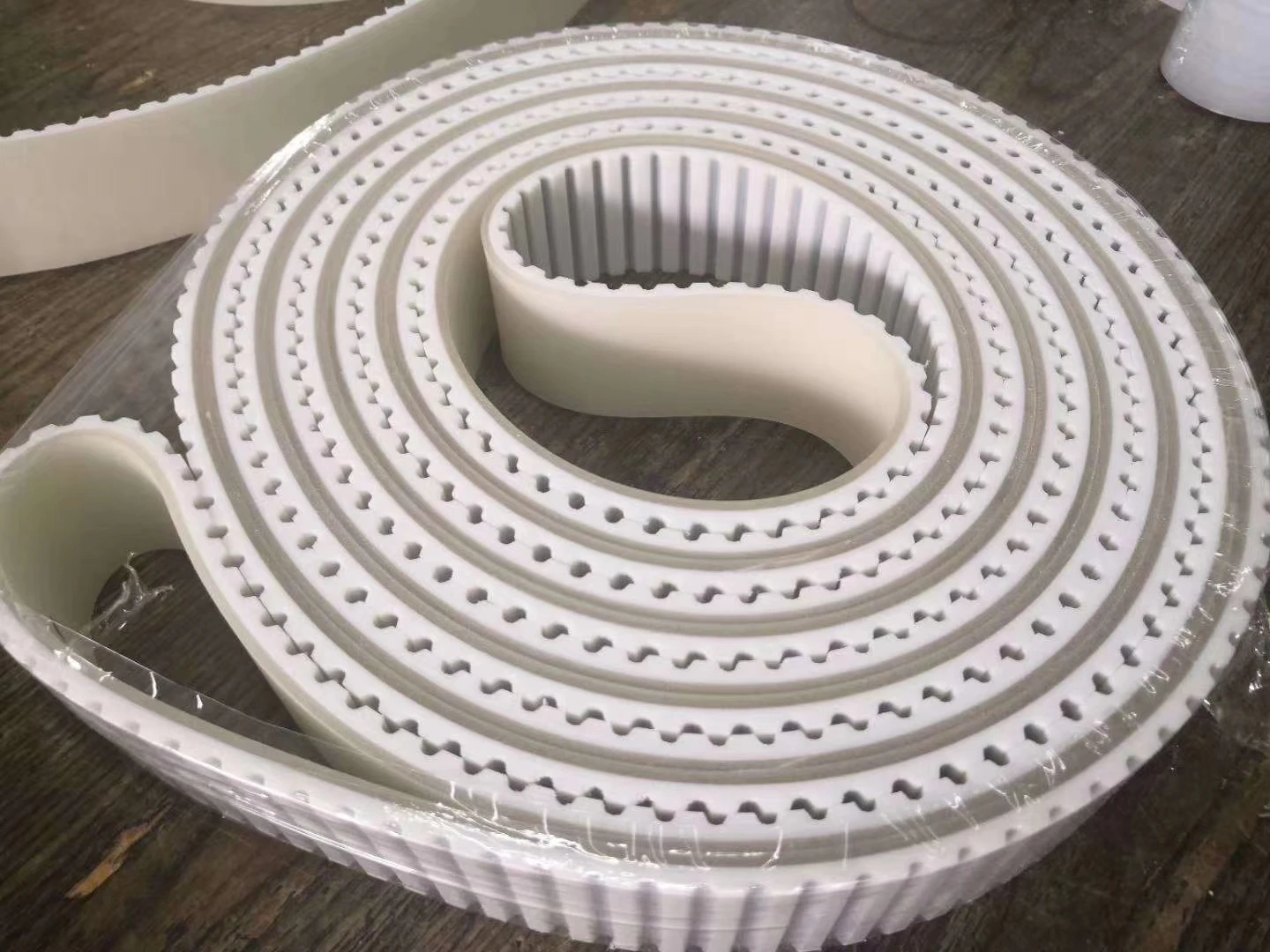 Bottero High Quality Synchronous Timing Distribution Belt for Glass Processing Machinery Enhances Efficiency