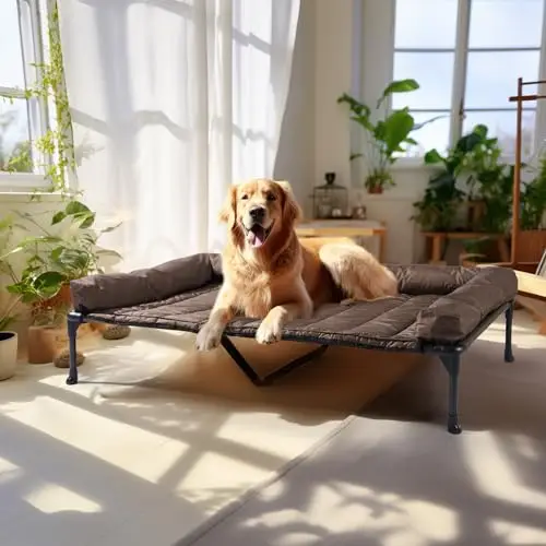 

Охлаждающая приподнятая лежанка для собак Veehoo с съемным водонепроницаемым матрасом-подушкой, приподнятая кровать для животных с дышащей сеткой Teslin, нескользящая.