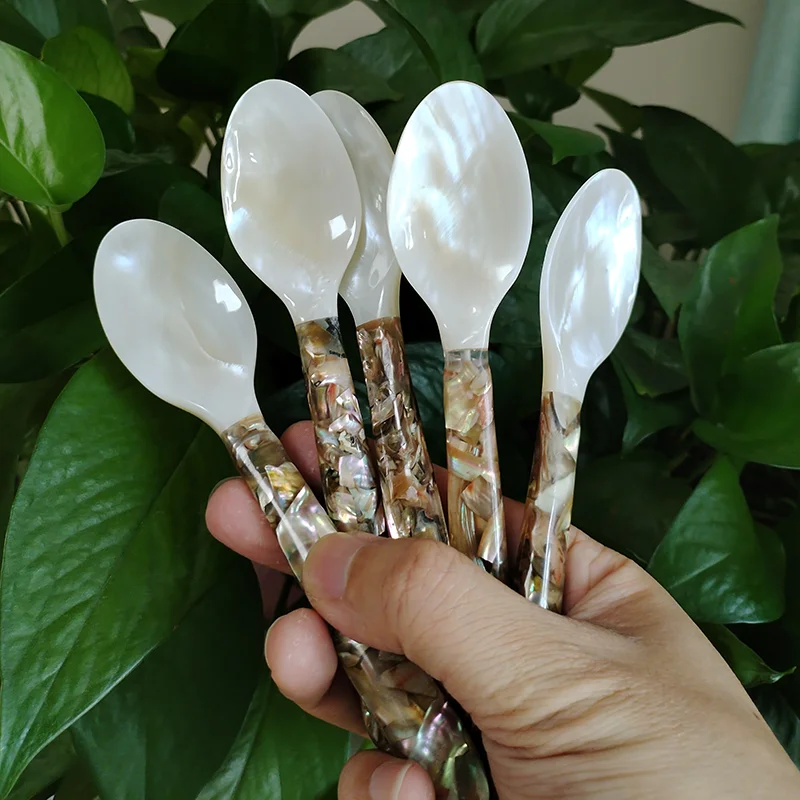 Set of 5 Caviar Spoons Shell Spoon Mother of Pearl Caviar Spoons Round Handle for Caviar Egg Ice Cream Coffee Restaurant Service