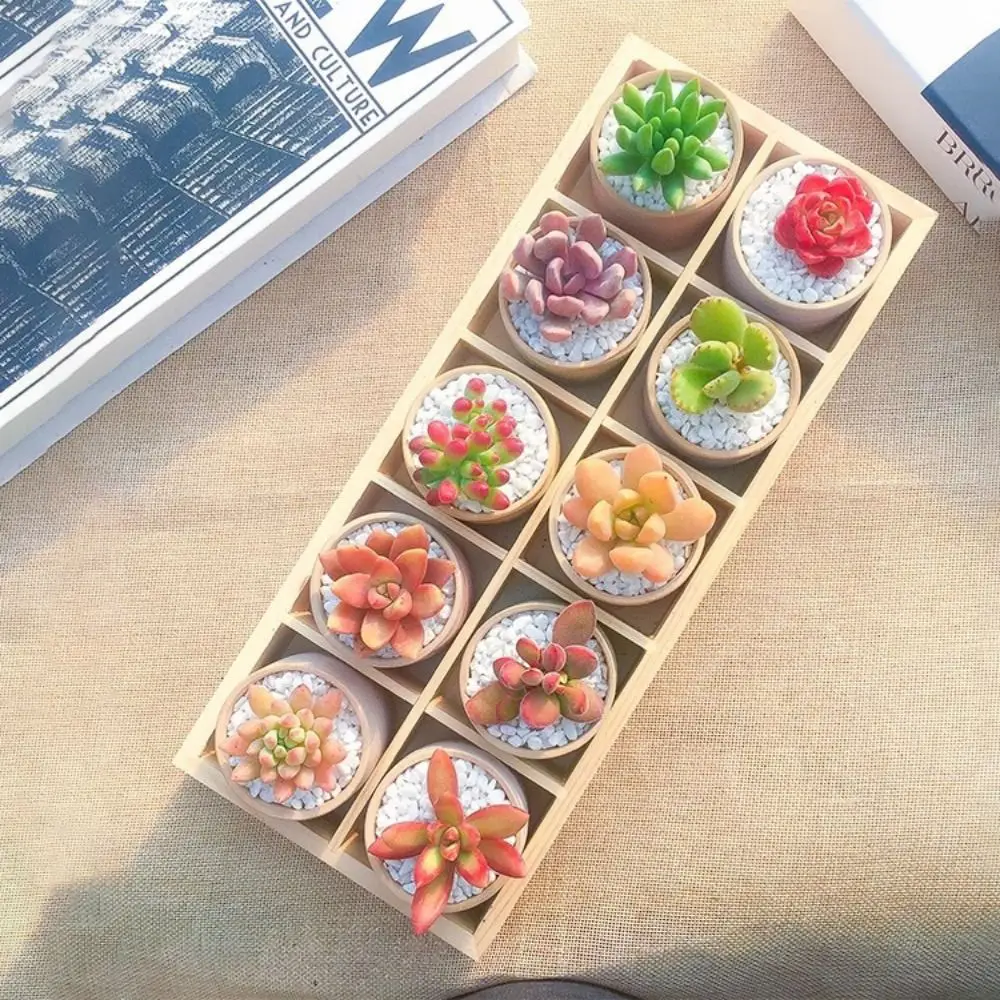 Multifunctional Succulent Flowerpot Tray Wood Plant Pot Stand Storage Box Cosmetic Tool Storage
