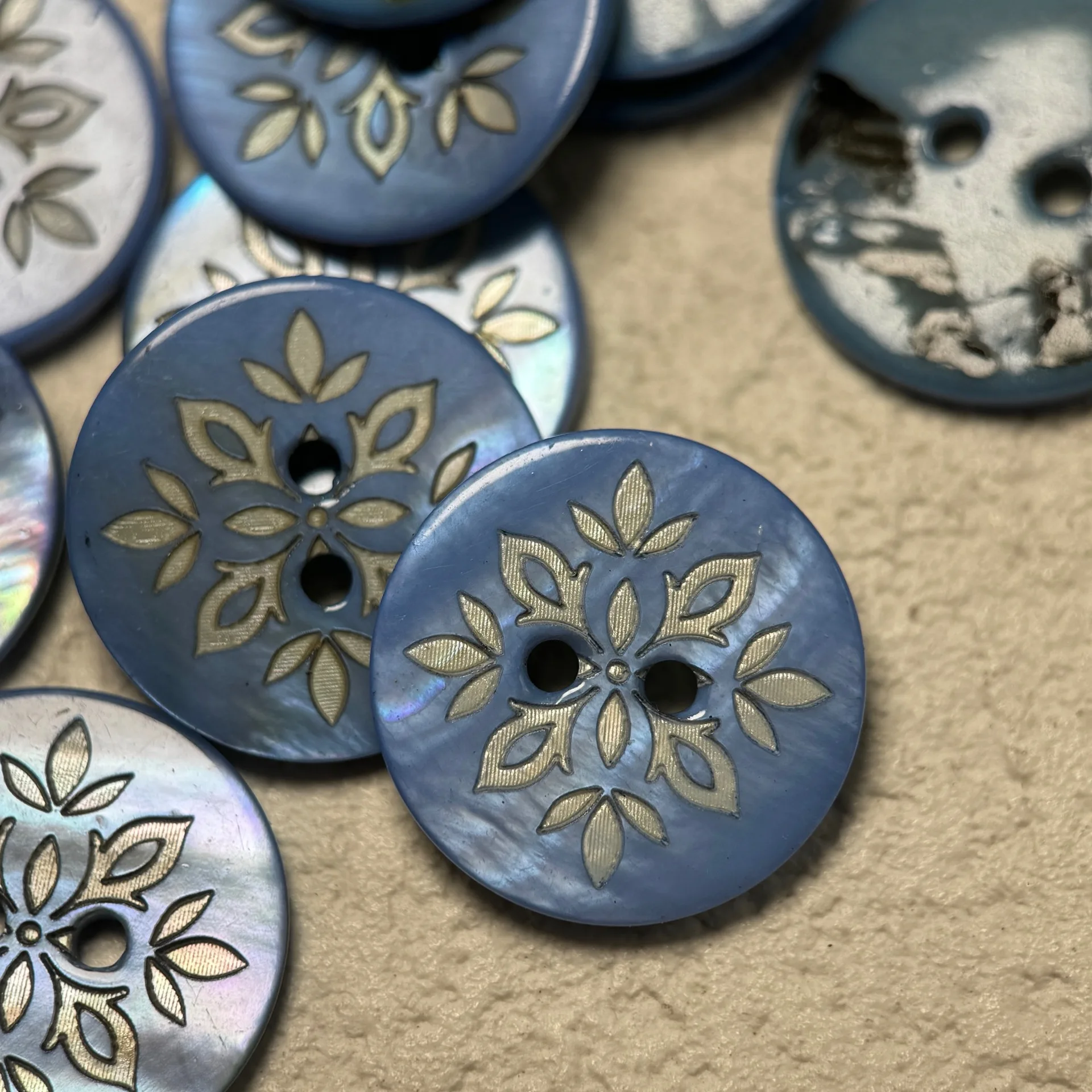 15 Pezzi/Lotto Bottoni in Conc - Dried Flower Bulk recensione e prezzo
