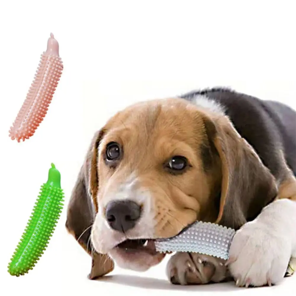 

Portable Cucumber Shape Dog Teeth Grinding Stick Bite Resistant Wear Resistant Dog Biting Stick TPE Dog Chew Toy Relieve Boredom
