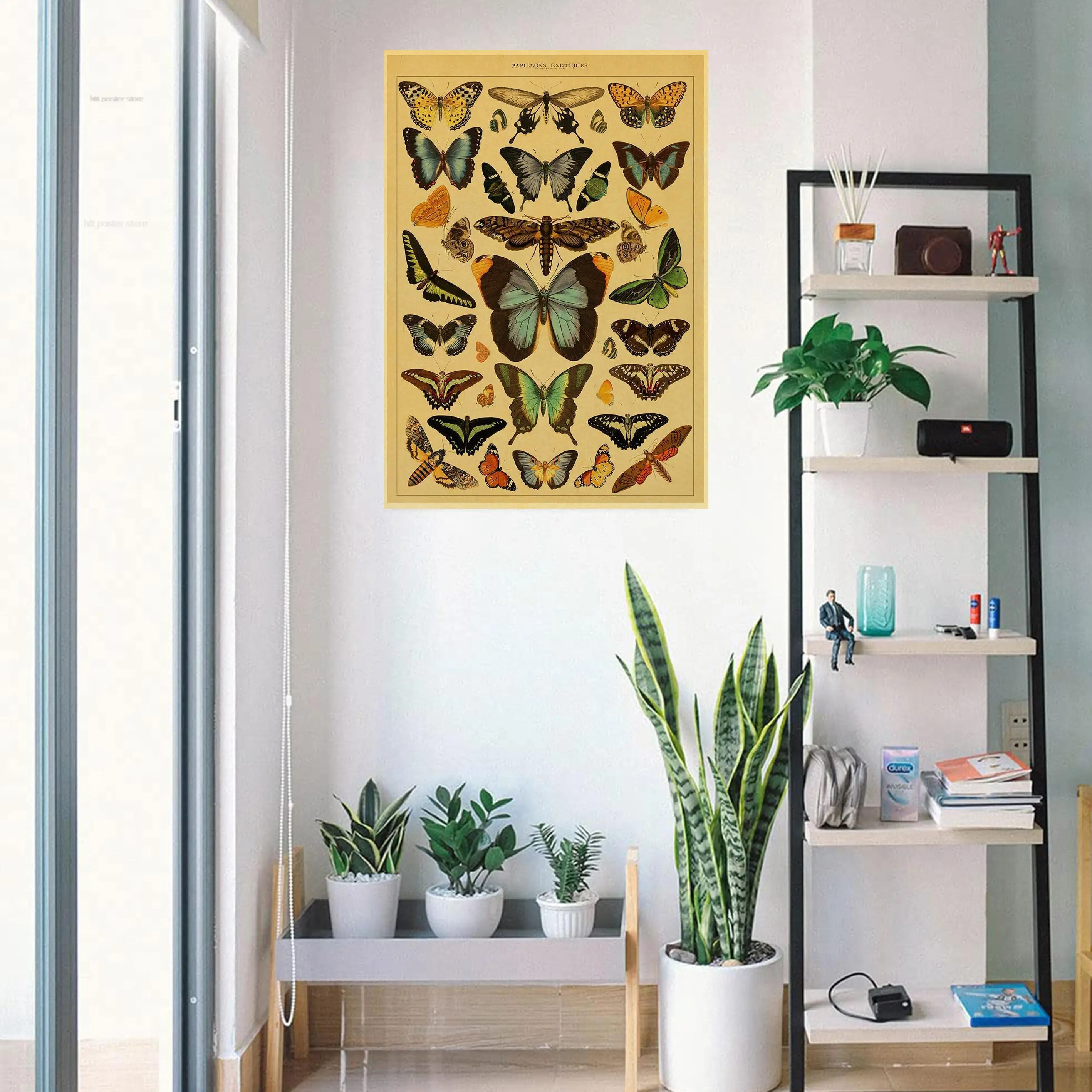 NEW!Botanical Educational Posters Butterfly Insect Fruit Birds Fish Animal Kraft Paper Vintage Home Bar Cafe Decor Wall Painting