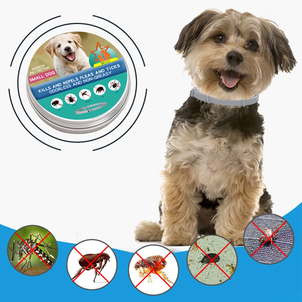 Flea Collar 8 Months Protection Pet Anti Flea Tick Neck Collar Natural Flea and Tick Prevention Collar for Dogs Cats