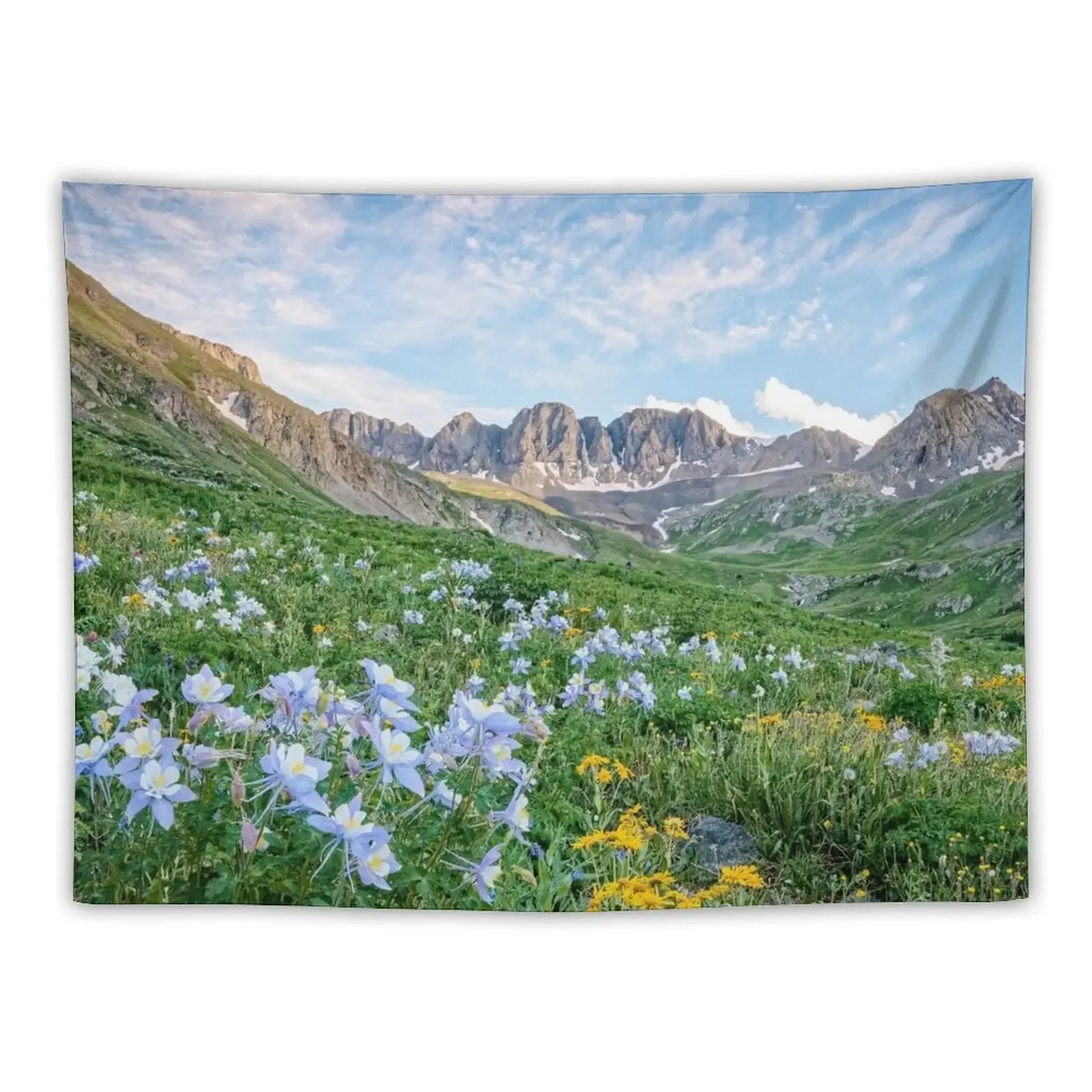 

American Basin Summer Wildflowers Colorado Mountains Tapestry Home Decor Accessories Home Supplies Tapestry