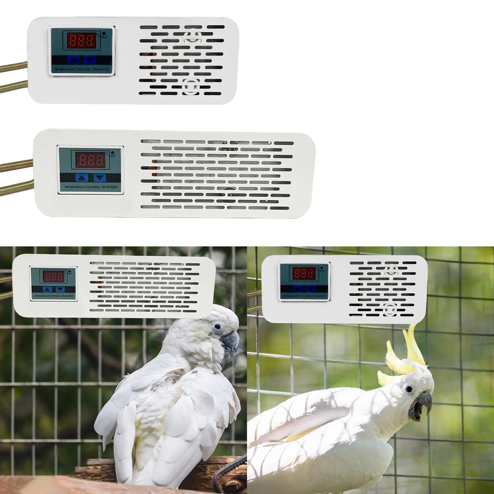 

Нагреватель для клетки для птиц, стабильная, энергосберегающая защита от ожогов, подставка для птичьего окуня, грелка для ара, змеи, черепах, попугаев, ящериц