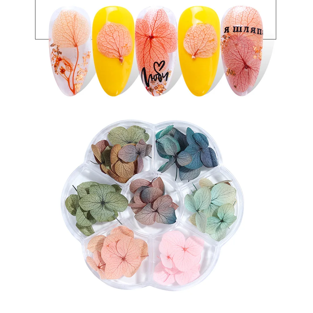 50個入り ネイルアート ドライフラワー グラデーション メープルリーフ 天然保存装飾 ネイルチップ UVジェル アクリルネイル用品