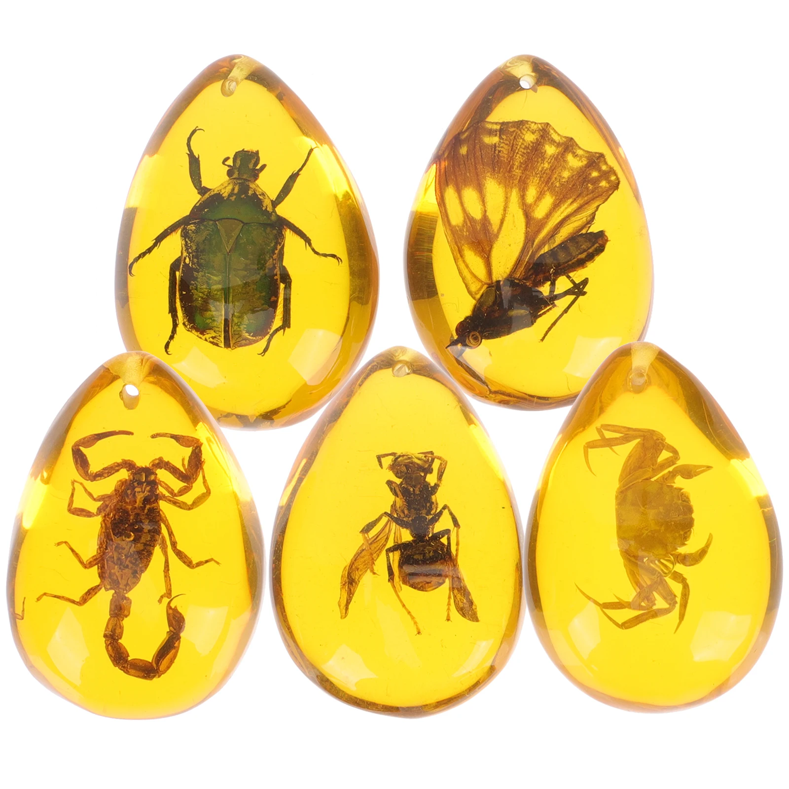 

5pcs Pendant Crafts Jewelry Decorative Educational Tool Lightweight Creative Design Specimen Resin Amber Pendants Diy