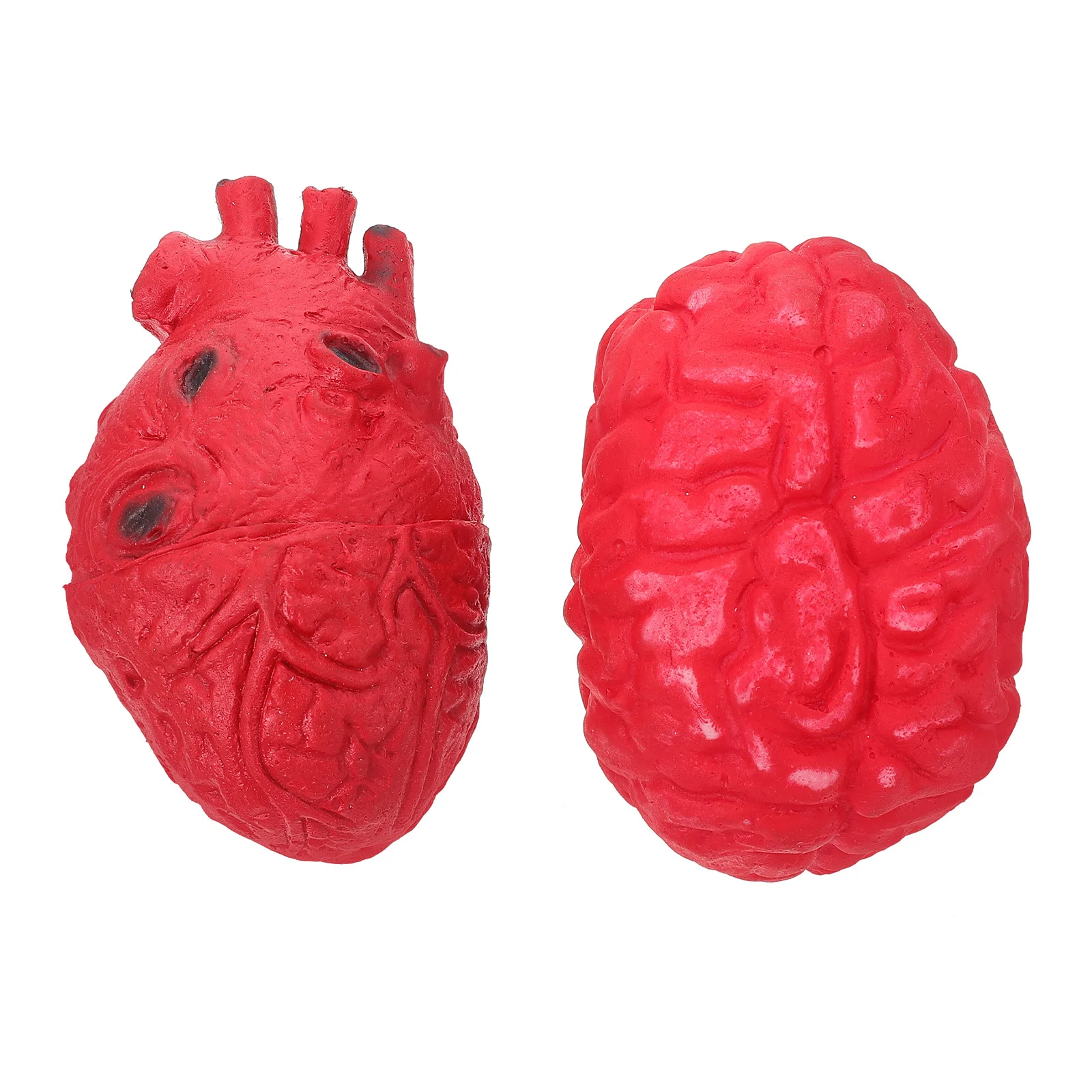 

2Pcs Lifelike Fake Human Brain Heart Decor Realistic Halloween Scary Prank Prop for Haunted House Party Atmosphere Decoration