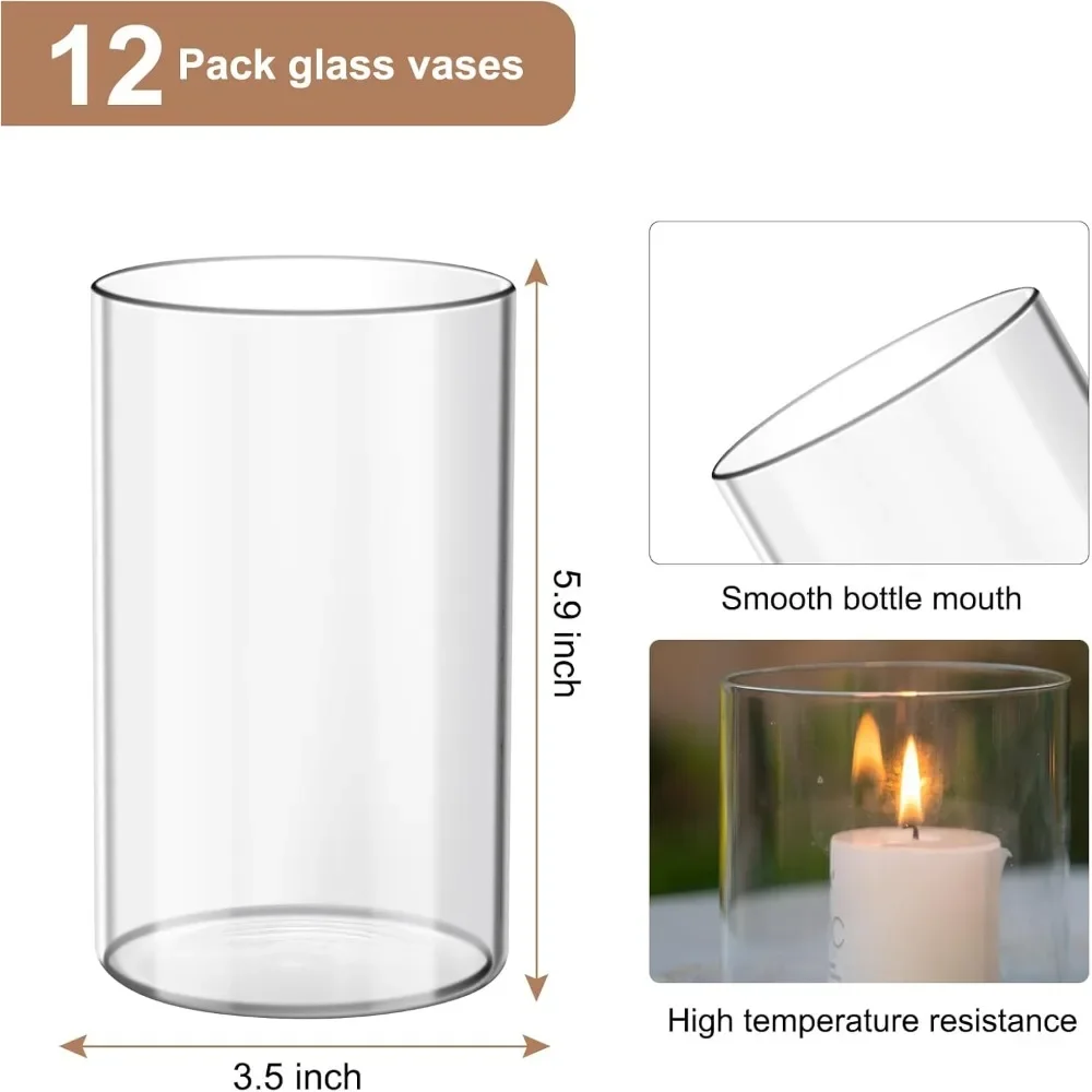 12Pcs Glass Cylinder vases for Centerpieces, 6 Inches Tall Flower Vases Wedding Decorations,Bulk Cylinder Flower& Plan Vases