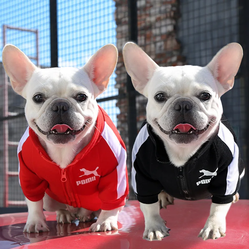 Chaqueta de béisbol para perros, ropa de invierno para perros pequeños y medianos, chaleco para cachorros, sudadera de Bulldog Francés, disfraz de