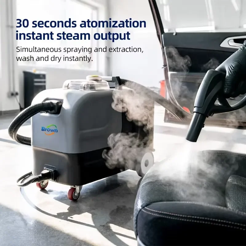For 220V Three in One Spray Cleaning Machine 3000W 5Bar Steam Car Wash New Condition Carpet Sofa   for Cars