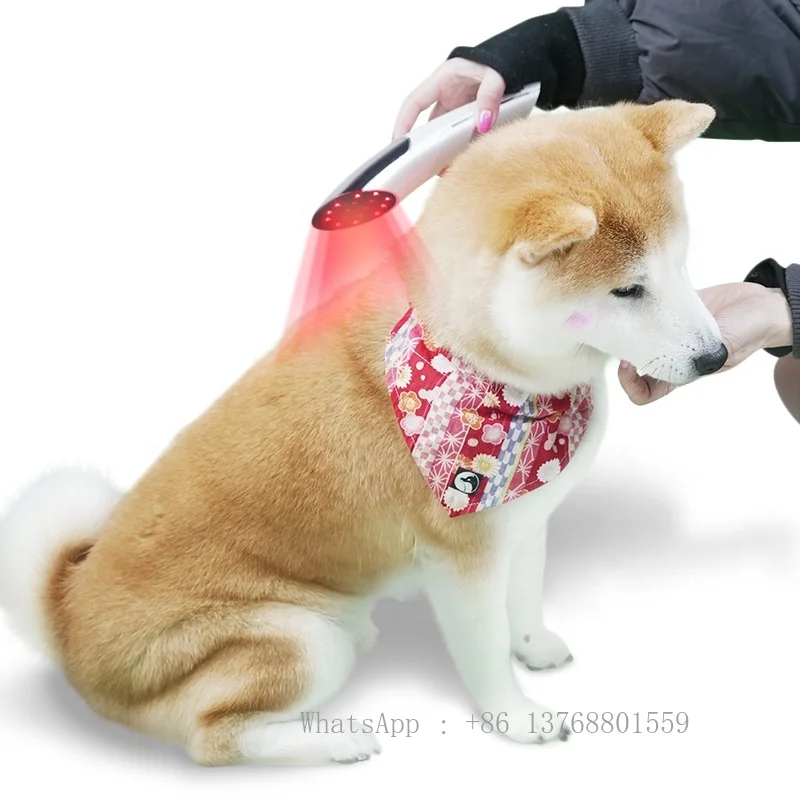 Animal Pet Veterinary use handheld portable Vet Use Laser- Physiotherapy Device for Pain Relief for Pets